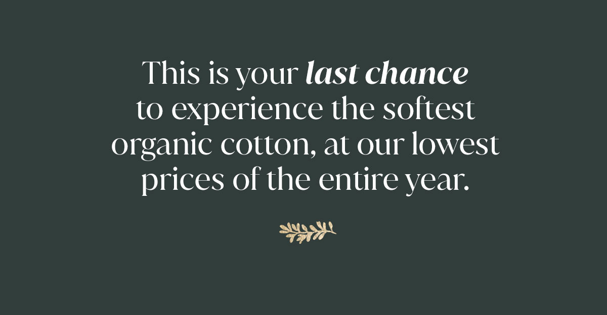 This is your last chance to experience the softest organic cotton, at our lowest prices of the entire year. 