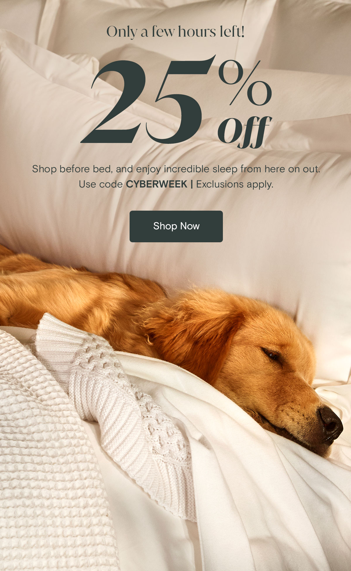 Our most special offer ends in just a few hours 25% off. Shop before bed, and enjoy incredible sleep from here on out. Use code CYBERWEEK | Exclusions apply. Shop Now