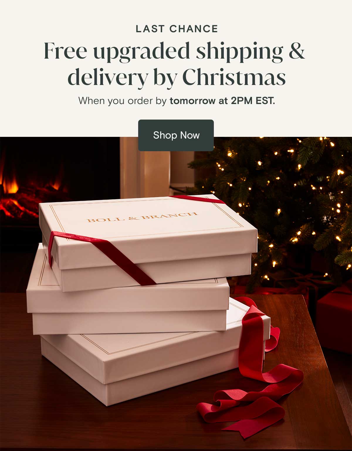 LAST CHANCE | Free upgraded shipping & delivery by Christmas when you order by tomorrow at 2PM EST. Shop Now