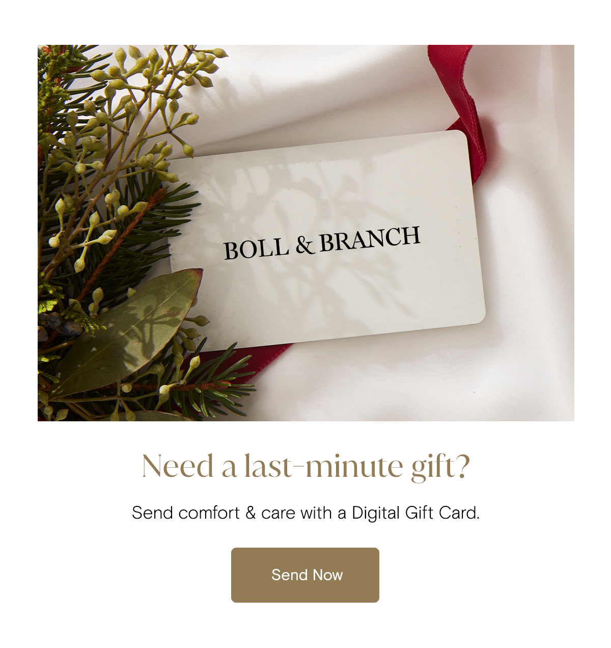 Need a last-minute gift? Send comfort & care with a Digital Gift Card. 