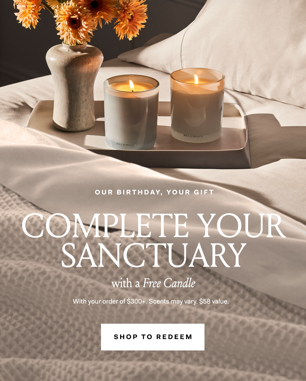 Our Birthday, Your Gift | Complete your Sanctuary 