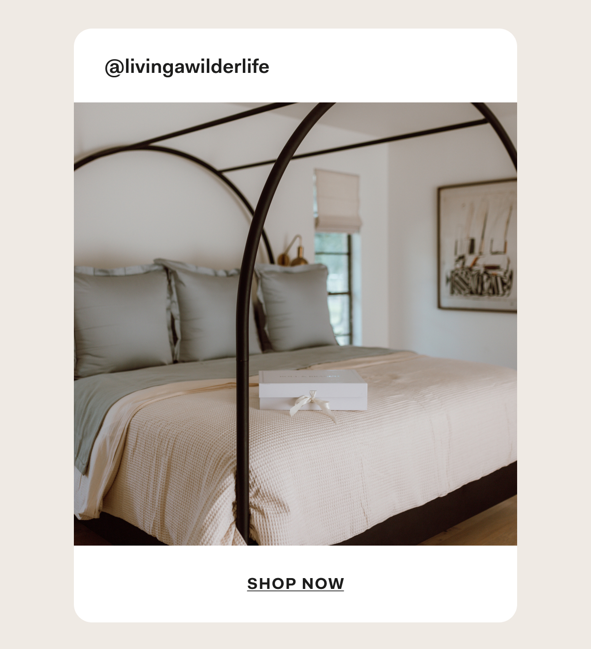 @livingawilderlife Shop Now