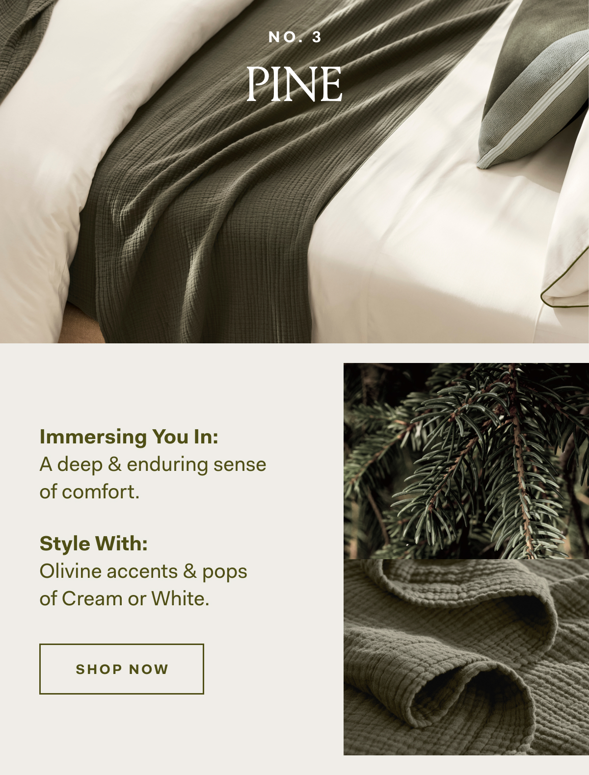 NO. 3 PINE Immersing You In: A eep & enduring sense of comfort. How To Style: Olivine accents & pops of Cream or White SHOP NOW NO. 3 PINE Immersing You In: A eep & enduring sense of comfort. How To Style: Olivine accents & pops of Cream or White SHOP NOW