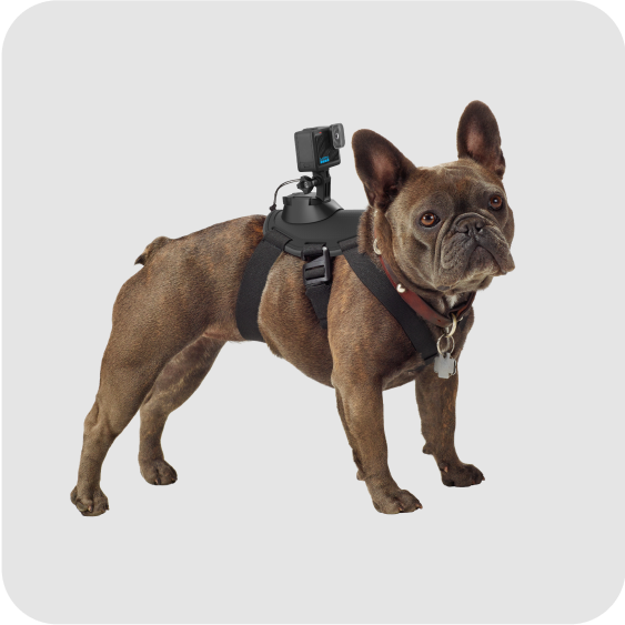 GoPro | HERO13 BLACK