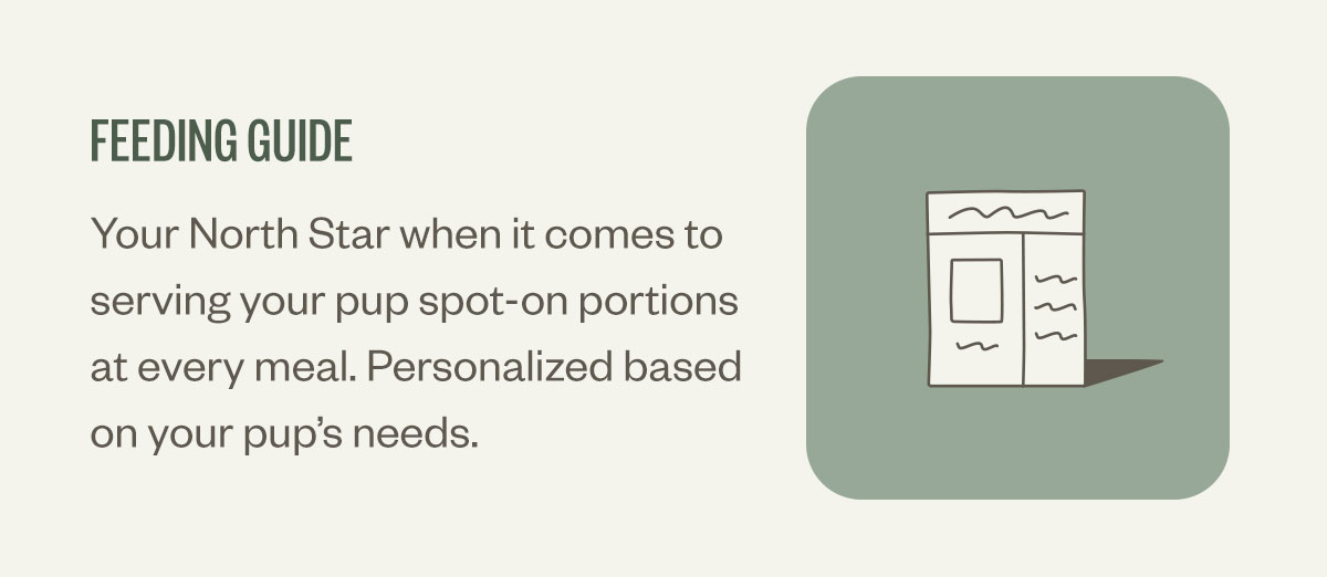 Feeding guide. Your North Star when it comes to serving your pup spot-on portions at every meal. Personalized based on your pup’s needs.