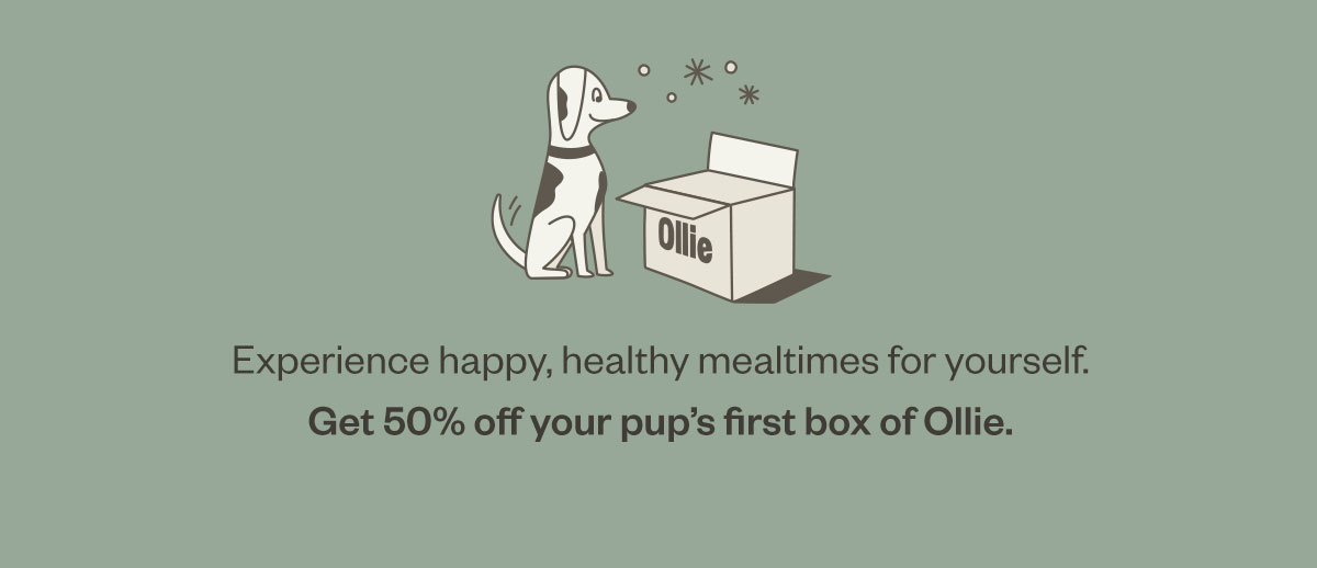 Good, healthy food never goes out of style — it’s always #trending and always on the top of every pup parent’s mind. Experience happy, healthy mealtimes for yourself. Get 50% off your pup’s first box of Ollie.