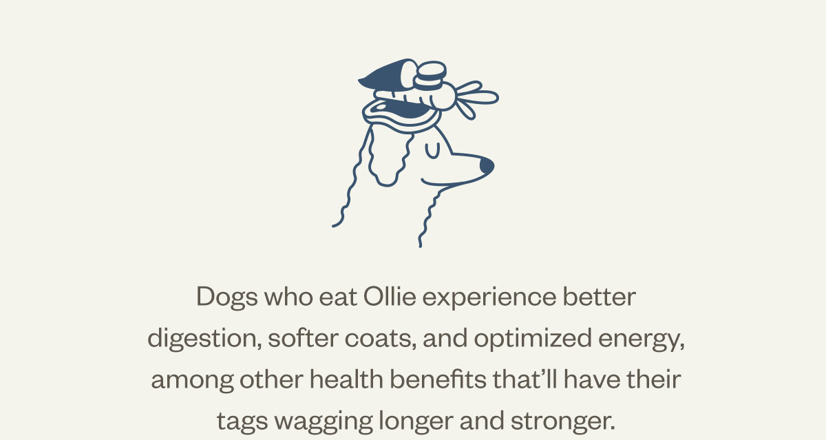 Dogs who eat Ollie experience better digestion, softer coats, and optimized energy, among other health benefits that’ll have their tags wagging longer and stronger. 