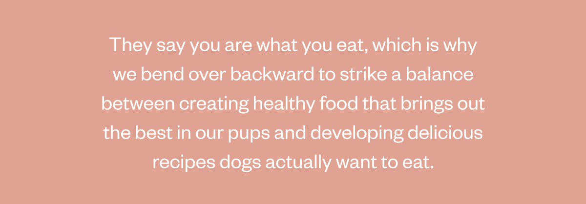 They say you are what you eat, which is why we bend over backward to strike a balance between creating healthy food that brings out the best in our pups and developing delicious recipes dogs actually want to eat.