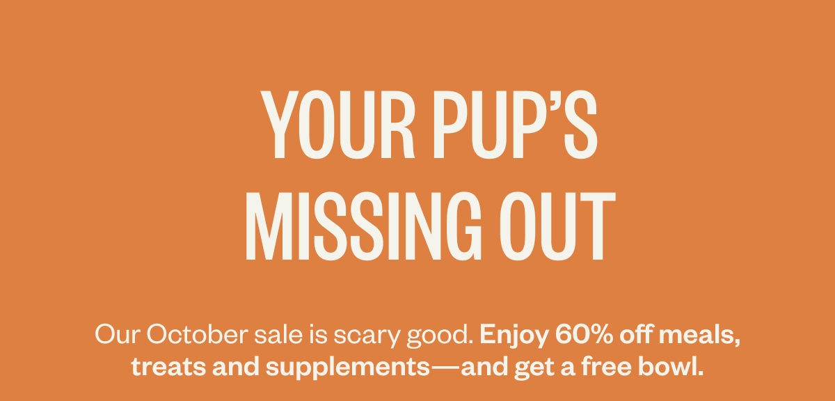 Your pup’s missing out. Our October sale is scary good. Enjoy 50% off meals, treats and supplements*—and get a free bowl. 