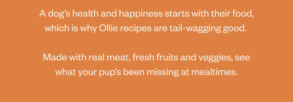 A dog’s health and happiness starts with their food, which is why Ollie recipes are tail-wagging good. Made with real meat, and fresh fruits and veggies, see what your pup’s been missing at mealtimes. 