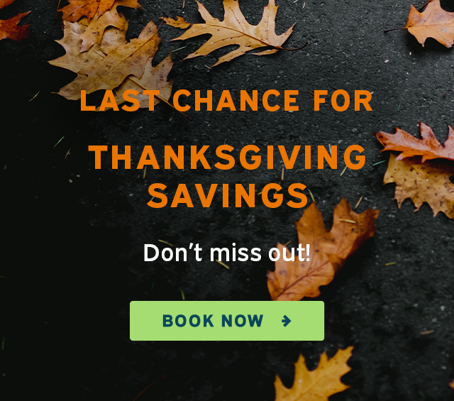 $8 off Thanksgiving