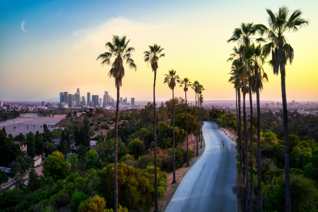 Los Angeles International Airport parking for just $8.95** per day!