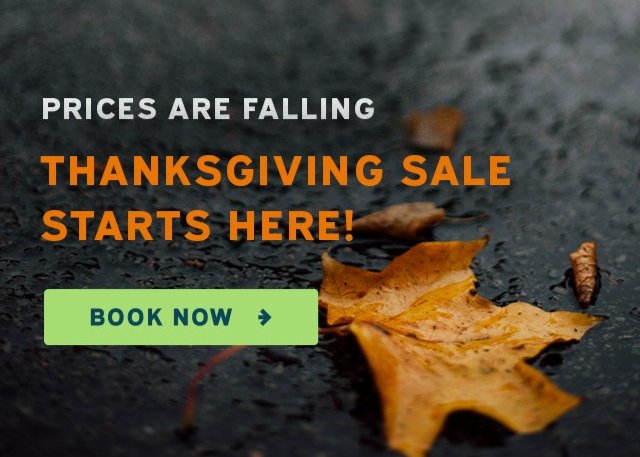 Thanksgiving sale