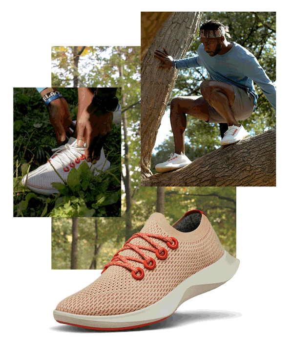 Allbirds