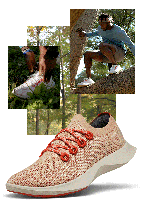 Allbirds