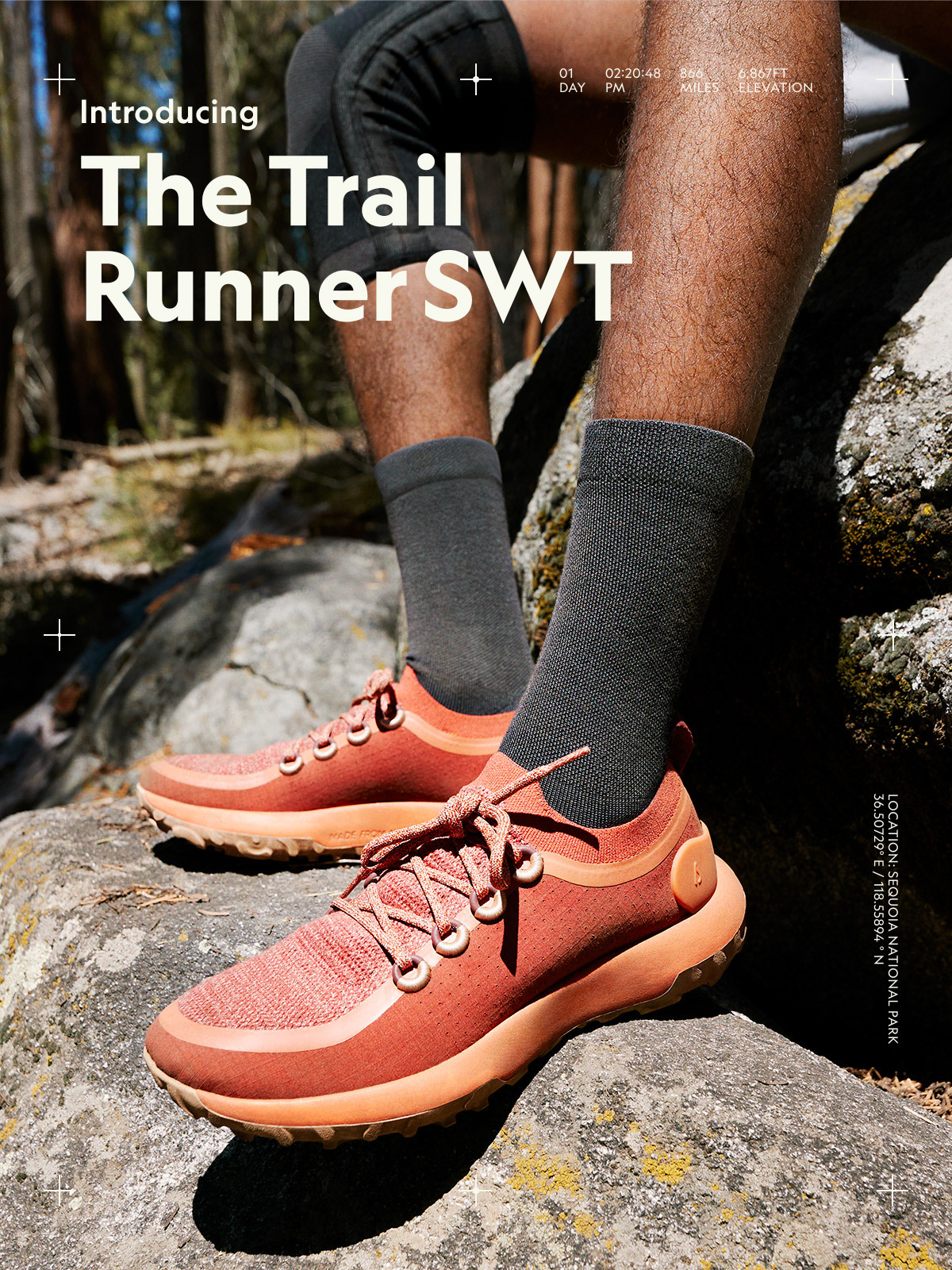 Introducing The Trail Runner SWT 