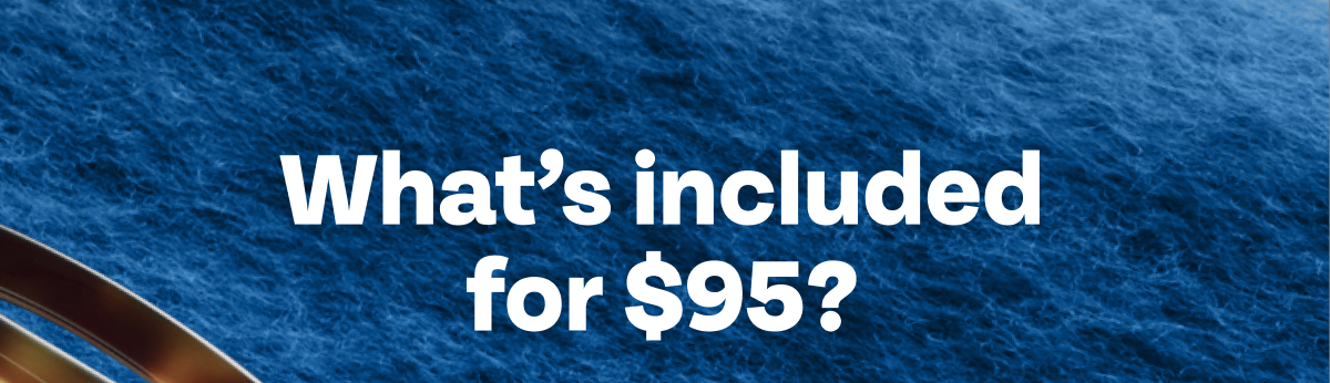 Here's what $95 will get you