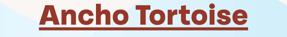 Ancho Tortoise