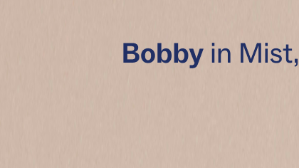 Bobby in mist