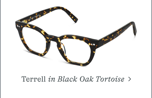 Terrell in Black Oak Tortoise