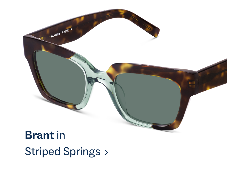 Brant