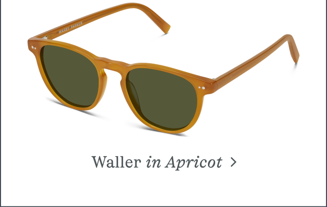 Waller in Apricot