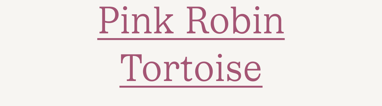 Pink Robin Tortoise