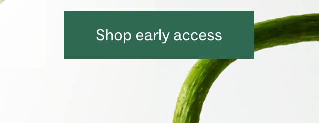 Shop early access