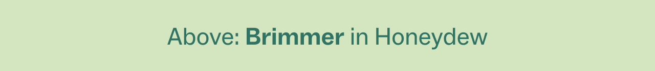 Above: Brimmer in Honeydew