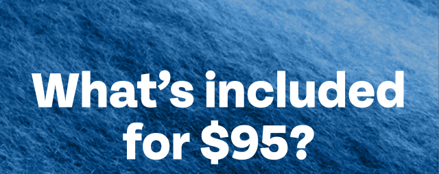 Here's what $95 will get you