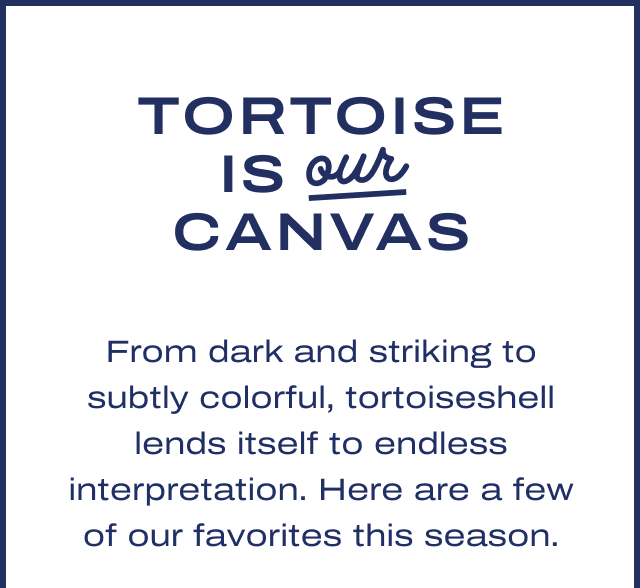 Tortoise is our canvas
