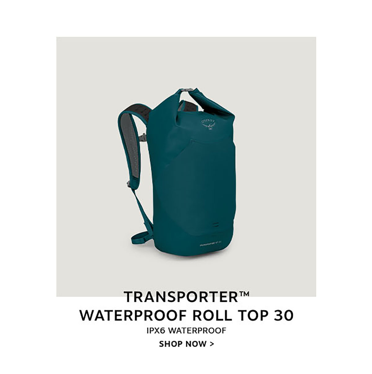 Farpoint Wheeled Travel Carry-On 36 L/21.5'' | Shop Now >