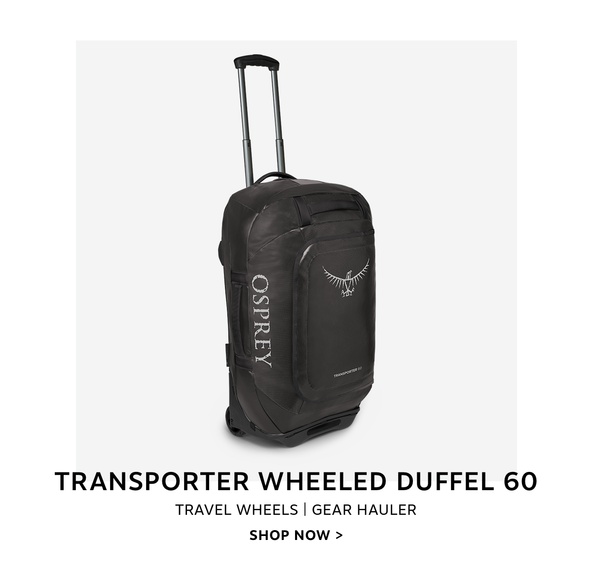 Transporter Wheeled Duffel 60 | Shop Now >