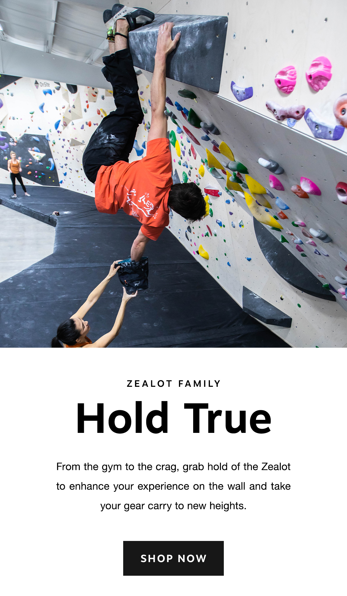Zealot Family | Hold True | Shop Now >