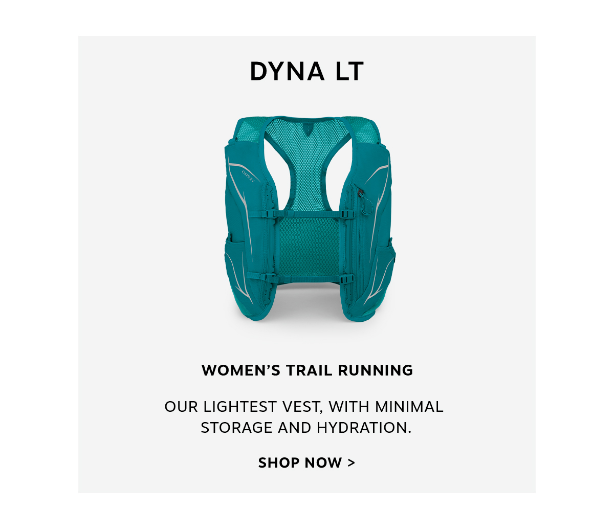 Dyna LT | Shop Now