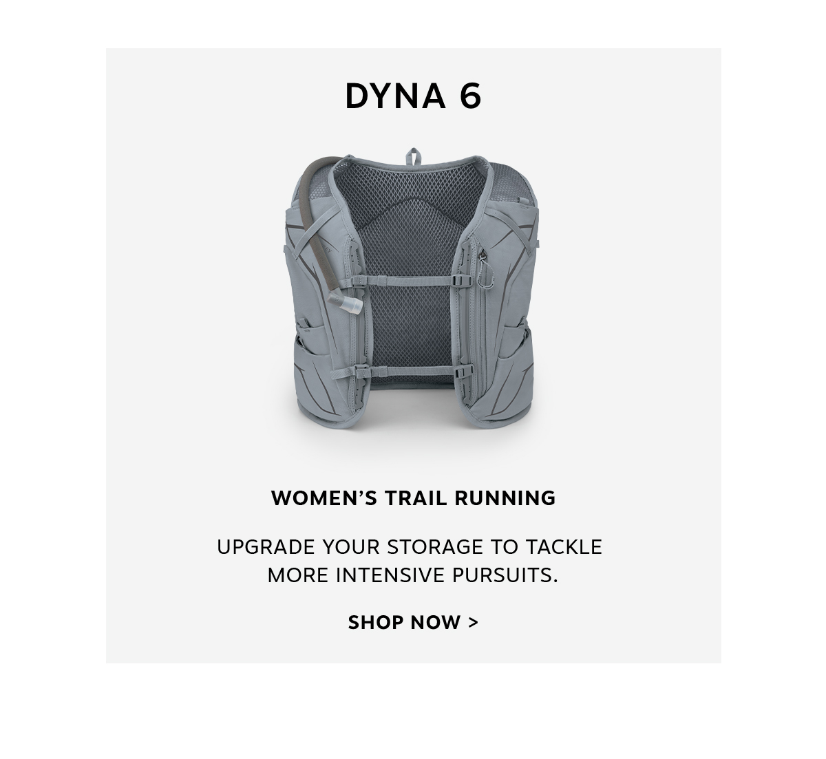 Dyna 6 | Shop Now