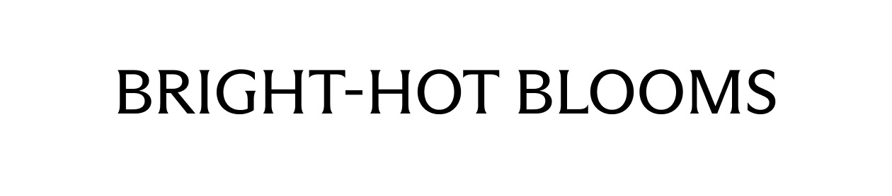 Bright-Hot Blooms
