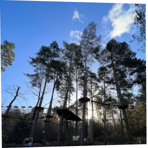 A Go Ape forest
