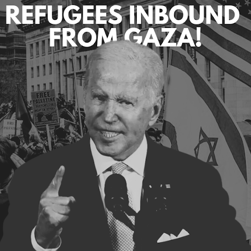 Biden Gaza Graphic