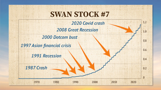 SWAN Stock #7