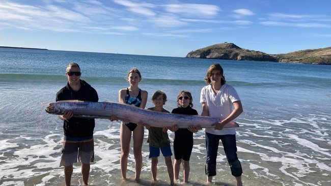 A group of people holding an oarfish