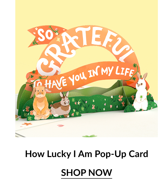 Colorful pop-up card featuring the words ''So Grateful to Have You in My Life'' with cute animals on a grassy base. Shop now.