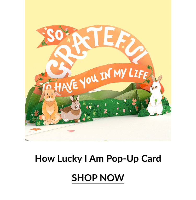 Colorful pop-up card featuring the words ''So Grateful to Have You in My Life'' with cute animals on a grassy base. Shop now.