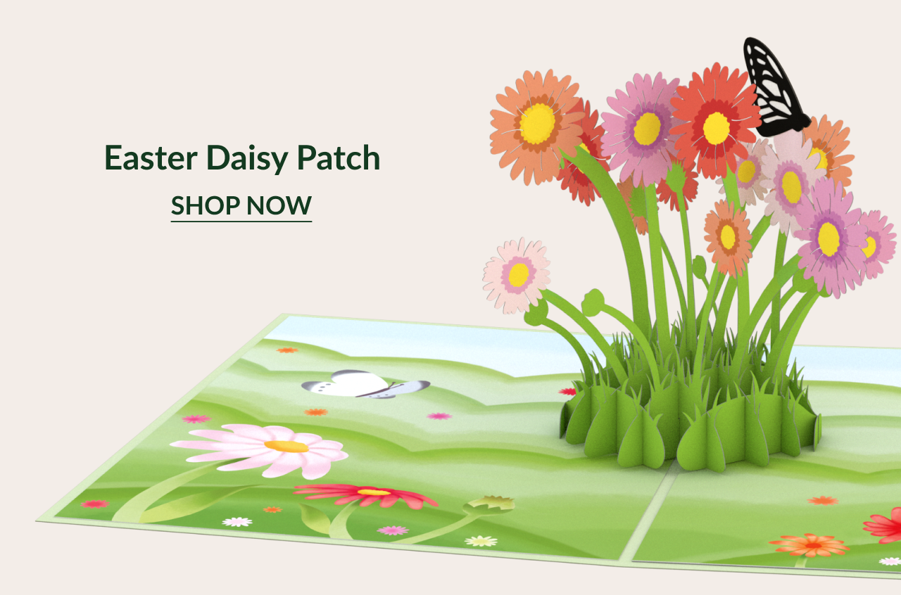 Easter Daisy Patch