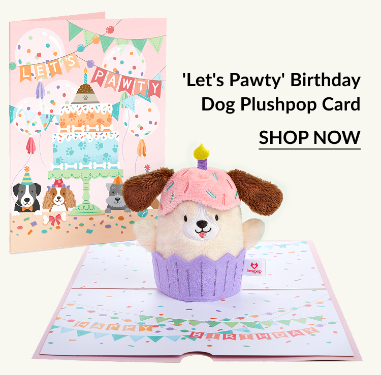 A birthday pop-up card featuring a cuddly dog plushpop with text that reads ''Let's Pawty''.