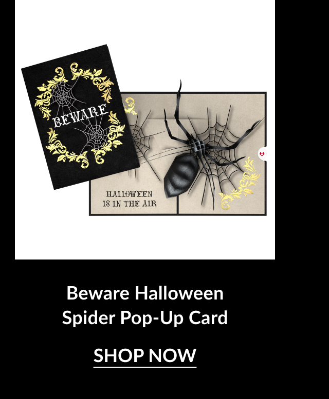 Pop-up card with a black spider emerging from a web, surrounded by gold decorative accents and 'Beware' text.