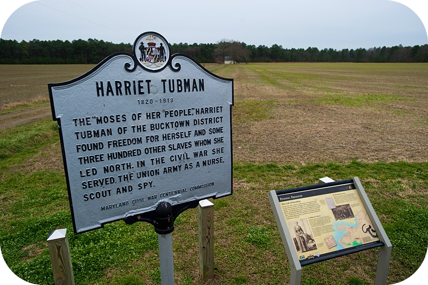 Tubman became known as the 'Moses of her People' for her actions