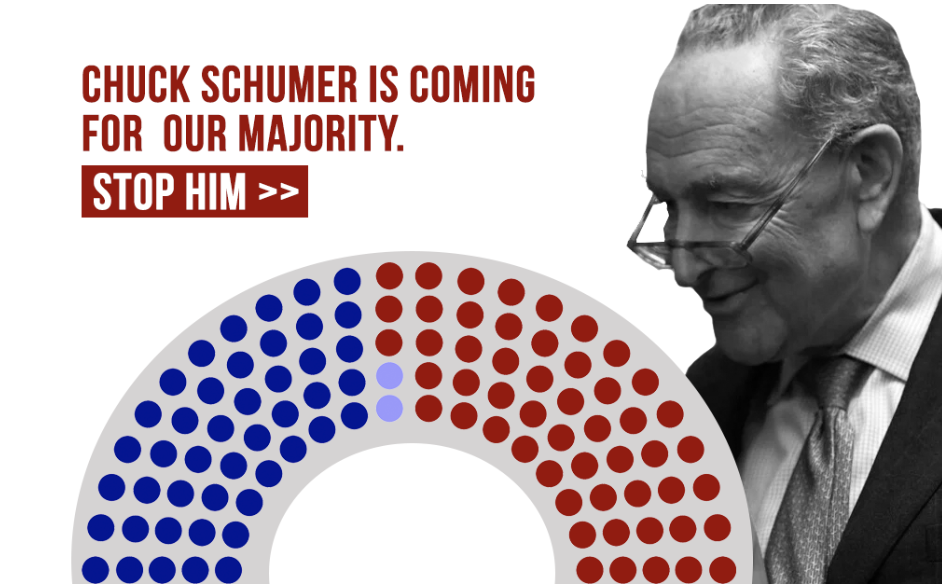 STOP CHUCK SCHUMER