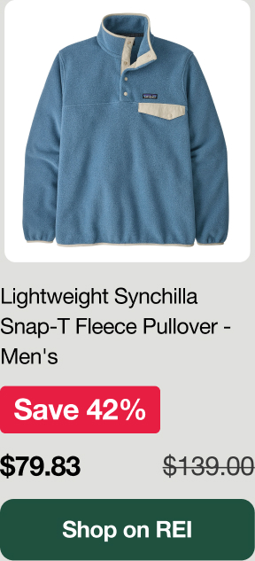 Patagonia Synchilla Snap-T