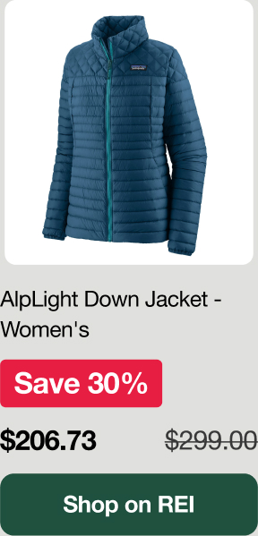 Patagonia Alplight Down Jacket